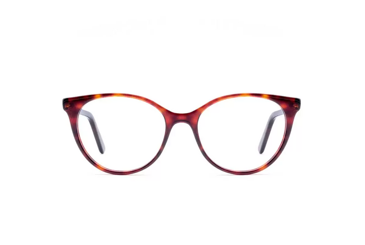 A front view of the LGR Cleopatra glasses in Havana Bordeaux 65.